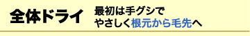 全体ドライ 最初は手グシで やさしく根元から毛先へ
