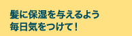 髪に保湿を与えるよう毎日気をつけて!