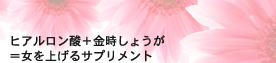 ヒアルロン酸+金時しょうが＝女を上げるサプリメント