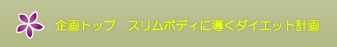 企画トップ　スリムボディに導くダイエット計画