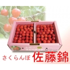 佐藤錦　1kg
