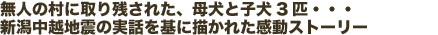 無人の村に取り残された、母犬と子犬3匹・・・新潟中越地震の実話を基に描かれた感動ストーリー