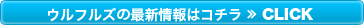 ウルフルズの最新情報はコチラ