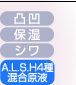SOLUTION　EX2(10ml)14,700円　シワ　保湿　凸凹　A.L.S.H４種混合原液