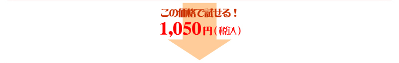 この価格で試せる!