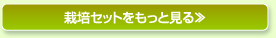 栽培セットをもっと見る≫
