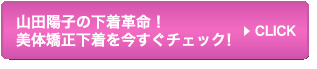 山田陽子の下着革命！美体矯正下着を今すぐチェック！>>CLICK
