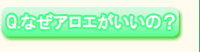 Q.なぜアロエがいいの?