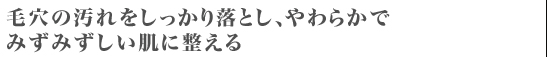 毛穴の汚れをしっかり落とし、やわらかでみずみずしい肌に整える